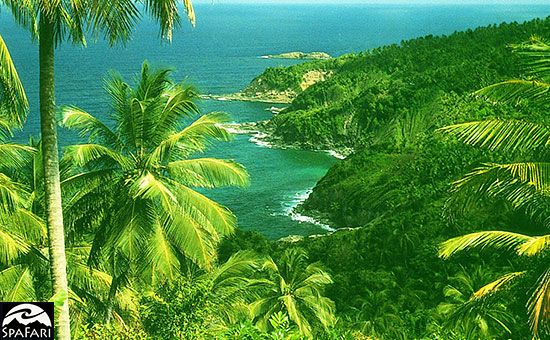 Caribbean: Dominica